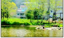 家乡的小河_550字