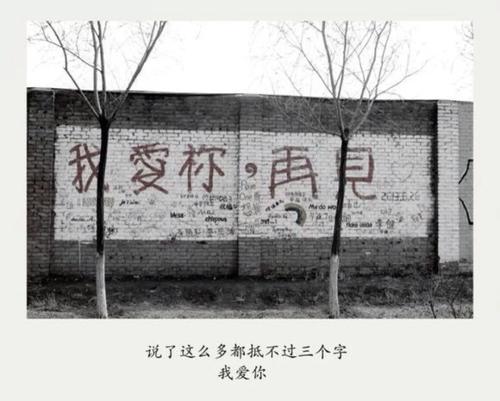 我爱你，再见_400字