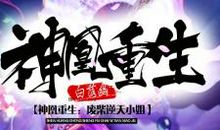 重生之凤飞逆天_2000字