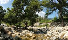 人类濒危的财富---水_600字