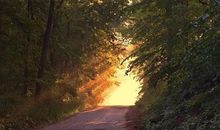 我对你的爱永无止境_1500字