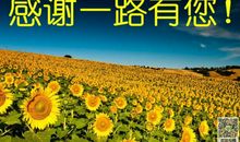 古董笔下的故事（一）_400字