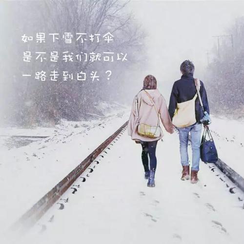 市中心有一棵巨大的老树，几百年。许多人在下次雪中时已经说过他们的故事，并要求理解。我不明白韩语，我不明白他们在说什么。我不知道我在说什么。我只希望这棵树可以了解我的话，早期的雪可以洗我的污渍。