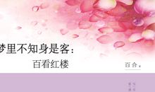 梦里不知花是客（九）_250字