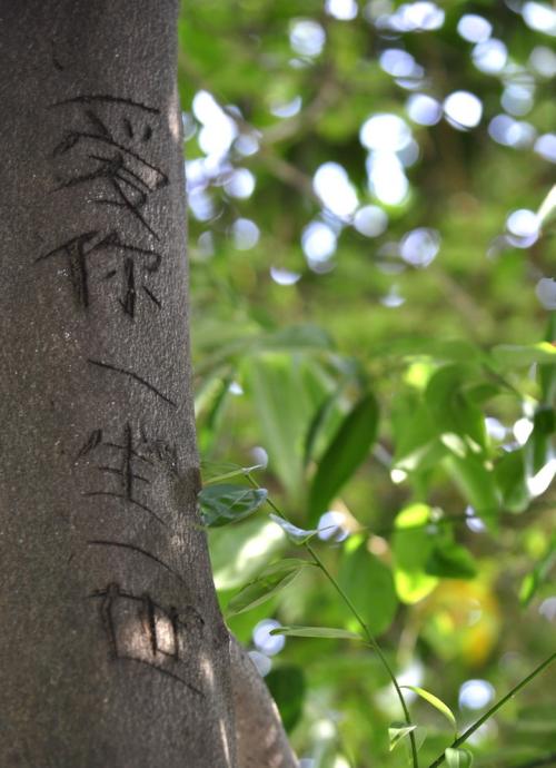 爱你，我不会在一生中改变（5）_1200字