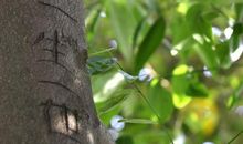 爱你，一生一世亦不变（五）_1200字