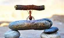 卖梦想的我（第一篇）_750字