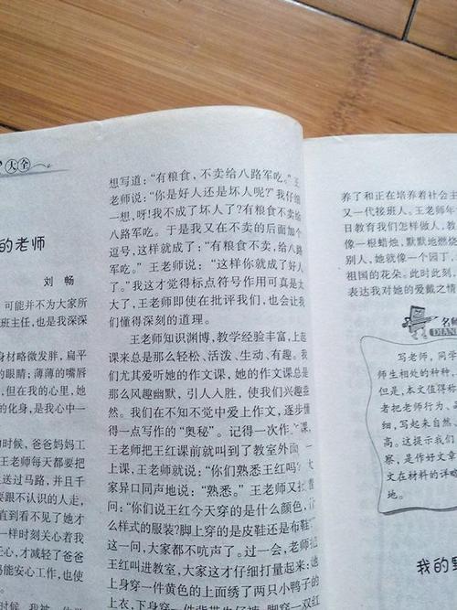 关于我的妹妹：Bobo Bird导致我姐姐的信_900字
