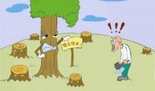 谈保护环境_900字