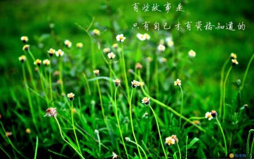 但是，如果一个人想要在生命阶段发挥良好的表演，它可以在几秒钟内鼓掌，你可以得到掌声，你可以随处鲜花，恐怕这难以比当天困难。这是因为你是一个人，是不可能是普通的一般;你可以把一切都作为一个人，你无法检查一切，你会拥有一切，因为你总是有一个错误的地方。如果你是一个失败者，你是一个错误，人们会赞赏它吗？