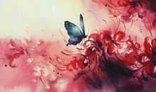 何必问彼岸_700字