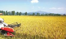 惠农民、壮农业、强农村_2000字