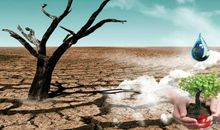 请大家保护水资源_400字