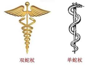 生命的象征