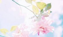 半暖微凉（4）_3000字