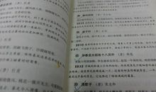 战队守则（第三章）_1200字