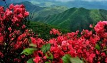 朝暮之花会开放（六）_1200字