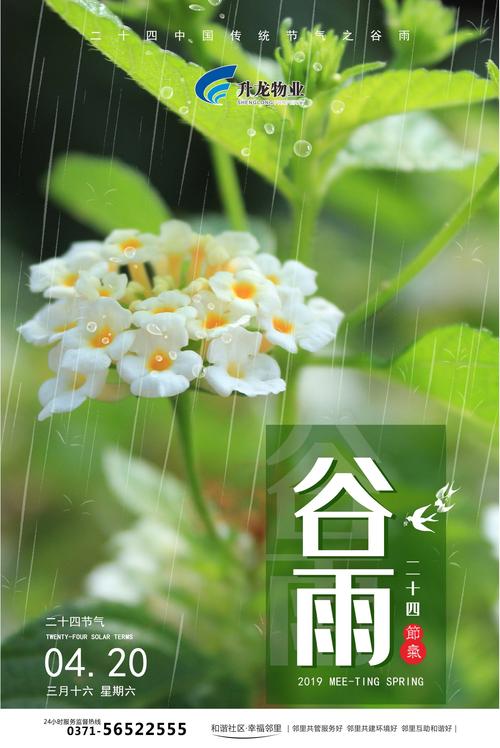 走在雨中,等待他们离开,夜里没有怀旧。那时候,月亮,花了禁用,夜晚。