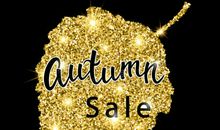 不是只有金子才能发光_800字