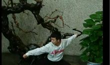 三界风云（第一卷）悲惨少年（第一章）黑色雷劫_2000字