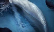 用微笑代替眼泪，很努力要自己去遗忘_550字