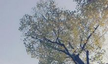 微风依旧，阳光不燥_750字