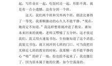 最美的友谊_700字