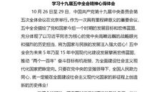 体育游戏的心得体会_550字