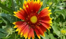 宽容·温暖_750字