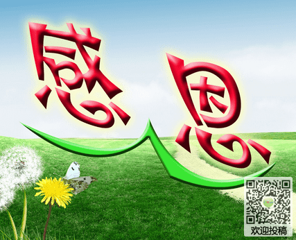 感激，努力工作_800字
