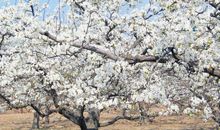 又是一年冬_1000字