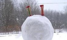 你想不想堆个雪人？_450字