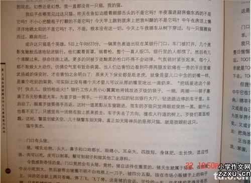 关于家庭成分：主页_200字