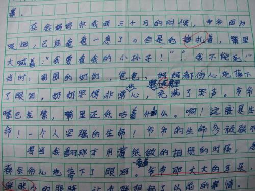 关于家庭论文：主页_500字