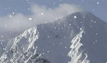 雪——飞舞_550字