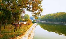 公园的景色真迷人_400字