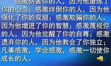 我最感激的一个人_300字