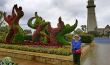 瞧！我们这一家人_1000字