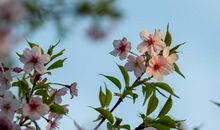 充满生气的春_500字