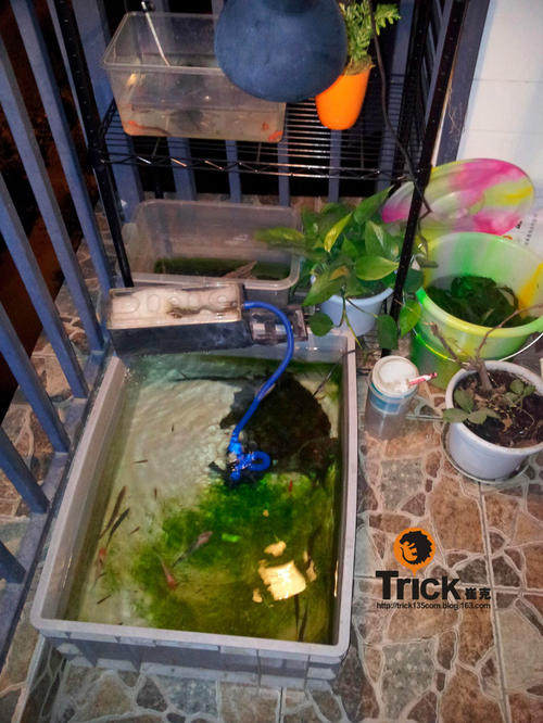 绝爱公寓_3000字