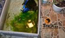 绝爱公寓_3000字