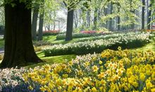 公园里的春天_500字