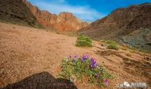 美丽的红石公园_350字