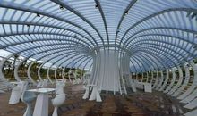 海棠不俗_3000字