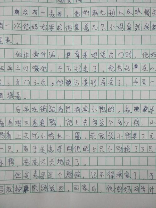 [微写]我的家酸猫_100字