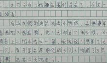 【微作文】我家那调皮的猫猫_100字