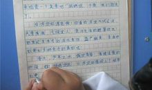 【微作文】一只小袋鼠的自述_350字