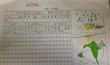 我发现了蛋壳的奥秘_400字