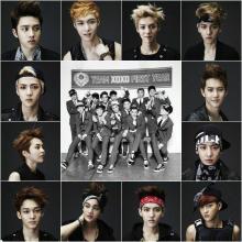 exo wolf _700字