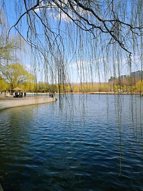春夏风景_400字